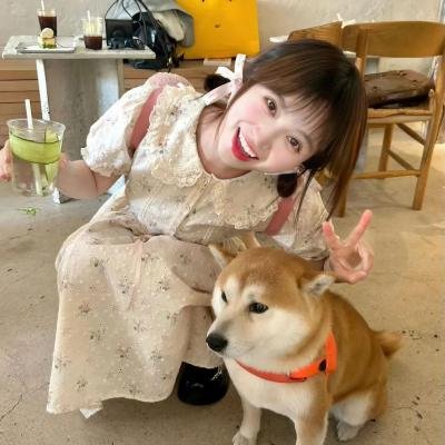 巅峰拍档第二十三季