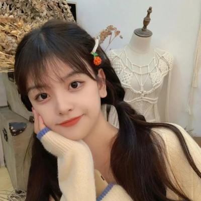七彩狗