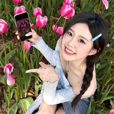 火鸟的沼泽